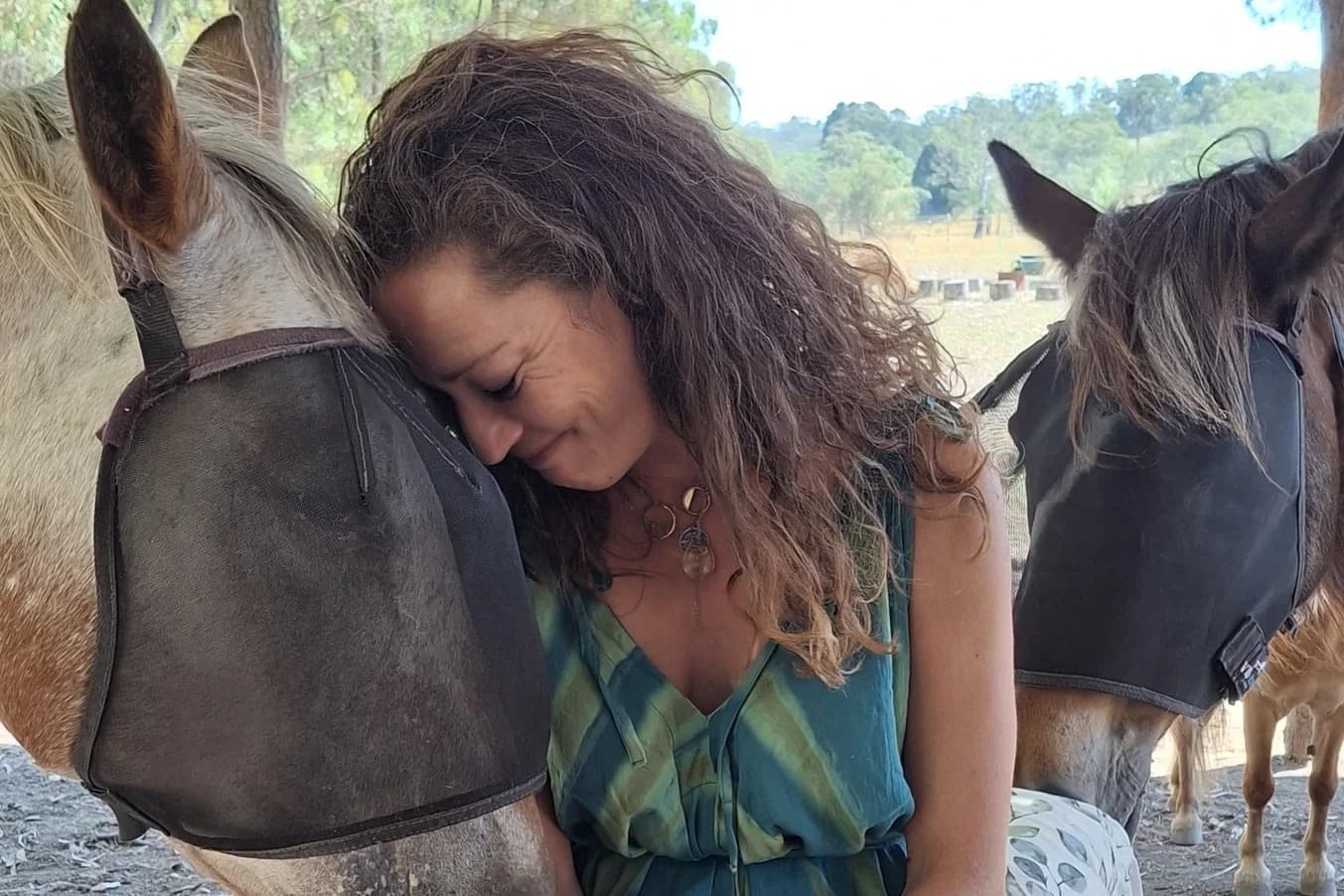 Lady connecting with horse during Reiki With The Herd session