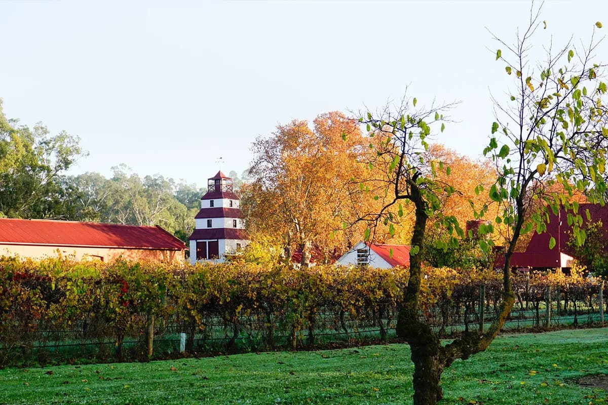 Tahbilk Winery Restaurant setting