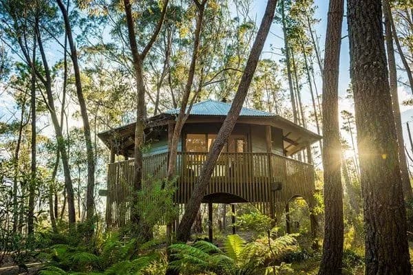 Federation Gardens & Possums Hideaway setting
