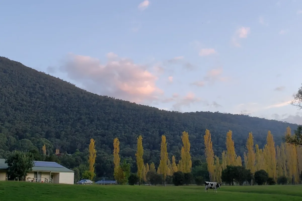 Rest & Restore Wellness Retreat setting