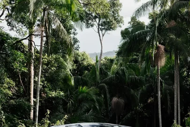 Misty View Cottages setting