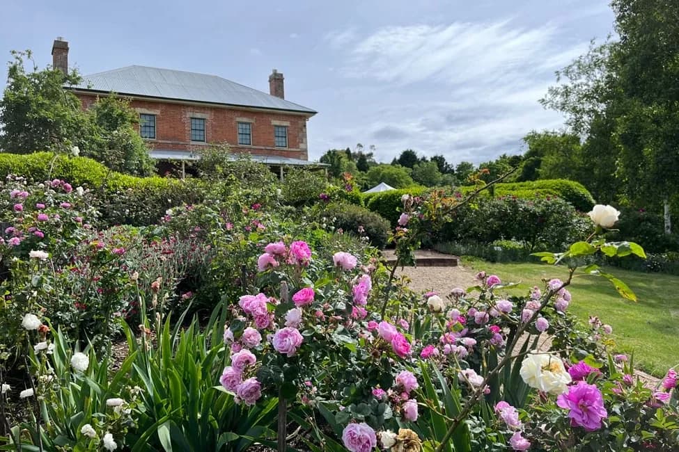 Harper’s Mansion setting