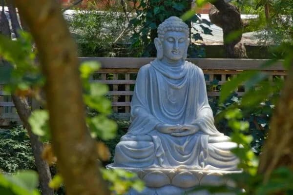 Buddhist Discussion Centre Australia setting