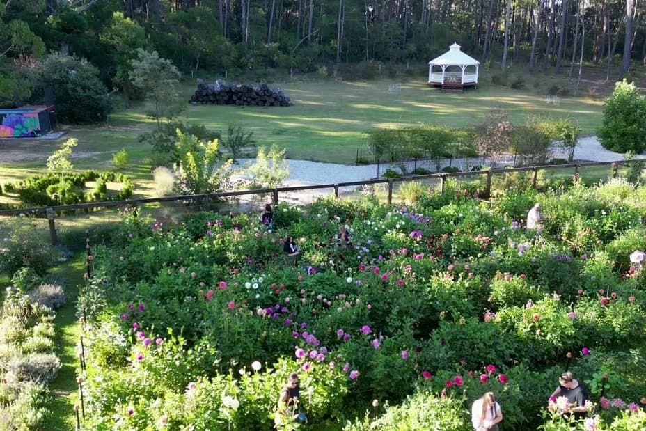 Southern Highlands Flower Farm setting