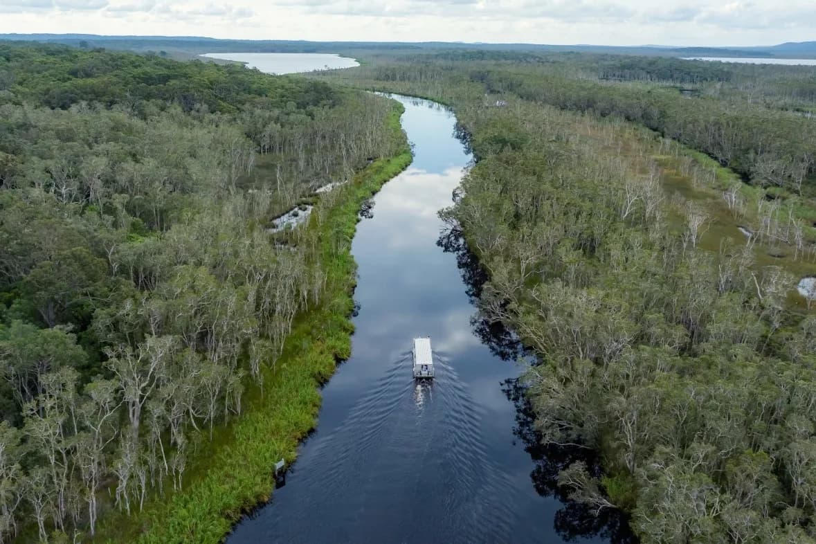 Noosa Everglades Explorer Tour setting