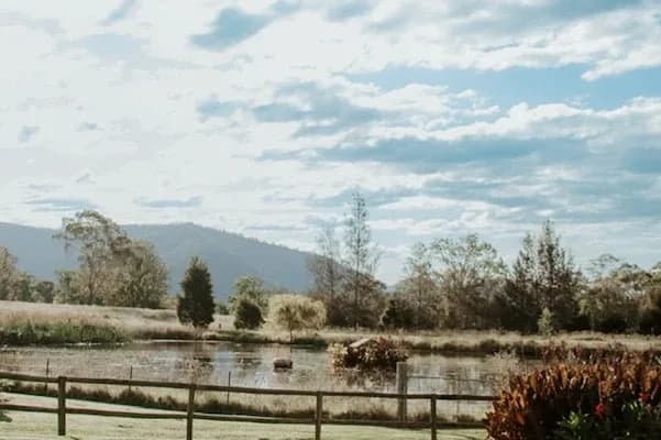 Starline Alpacas setting