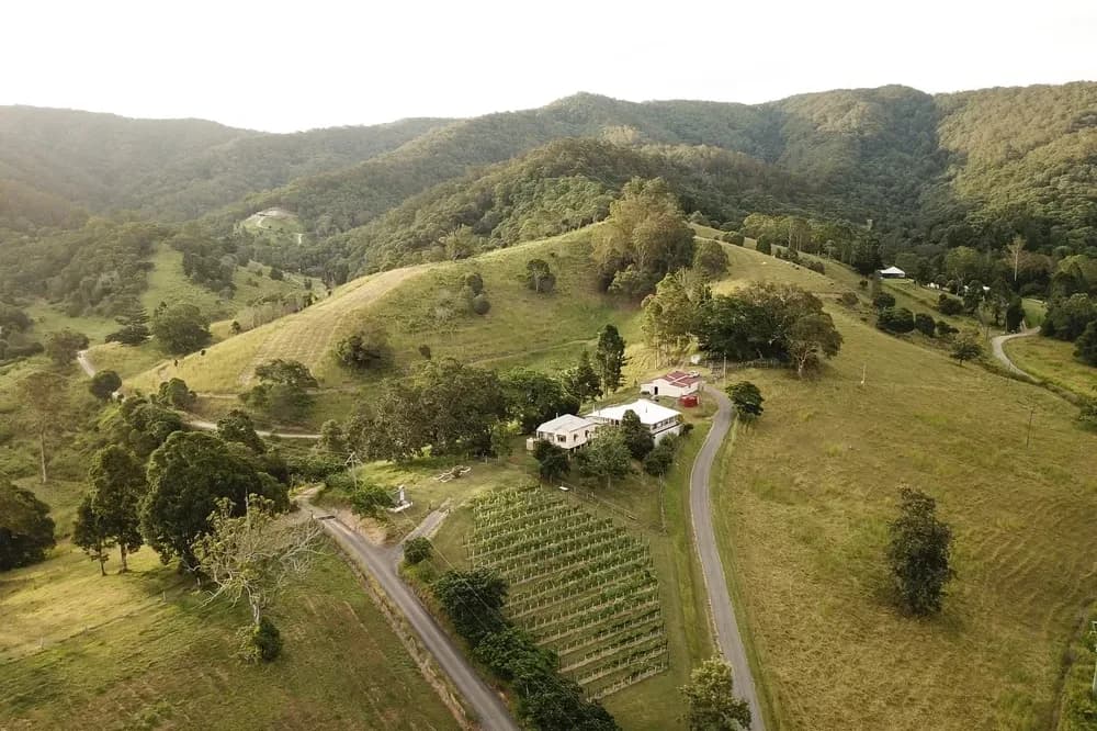 Mackenzie Creek Homestead setting