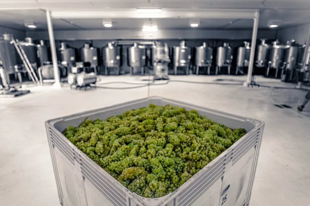 Oakvale Wines setting