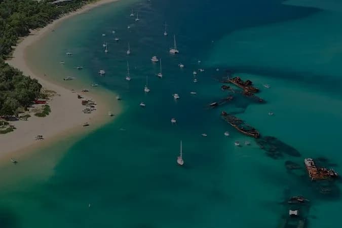 Tangalooma Wild Dolphin Feeding Experience setting