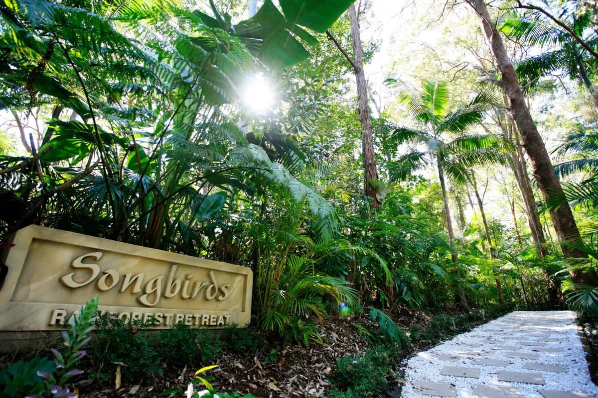 Forest Spa at Songbirds Rainforest Retreat setting