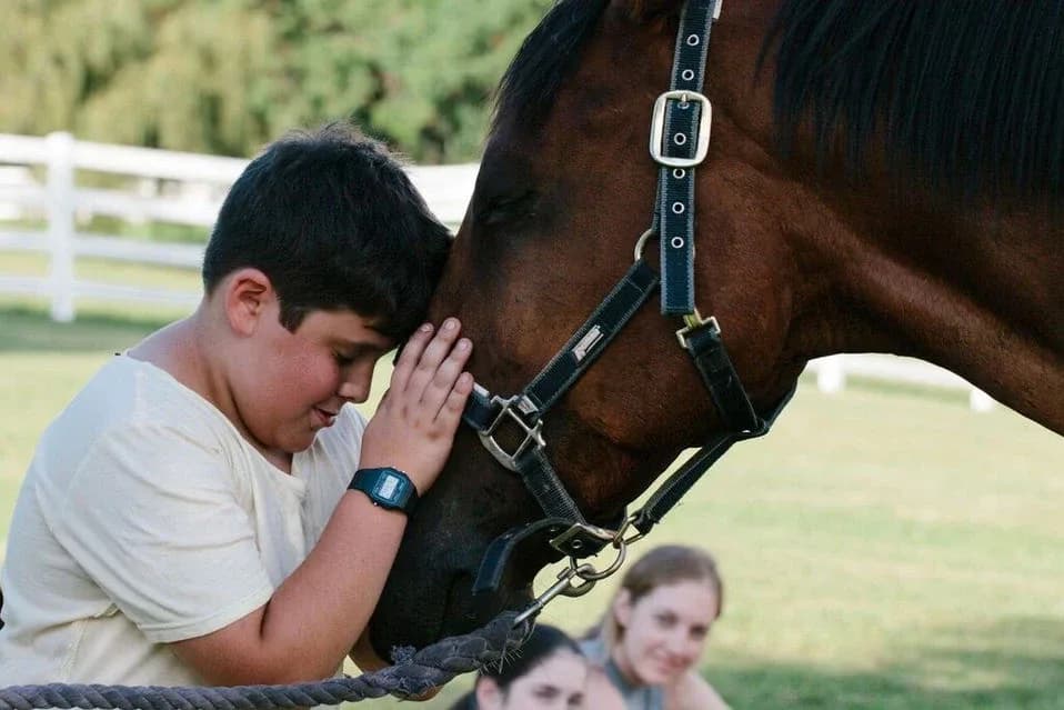 Eden Equine setting