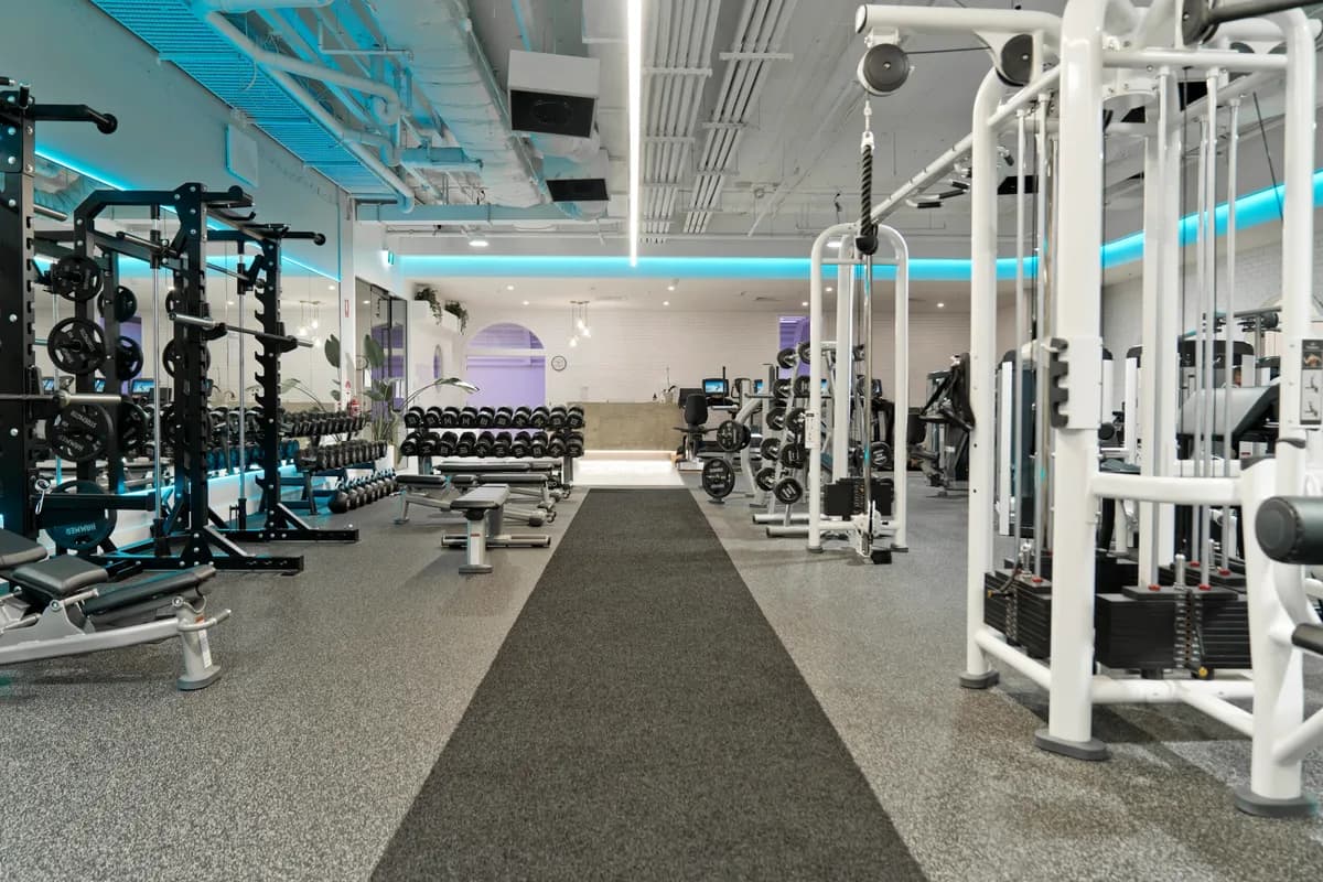 Club Aurora setting