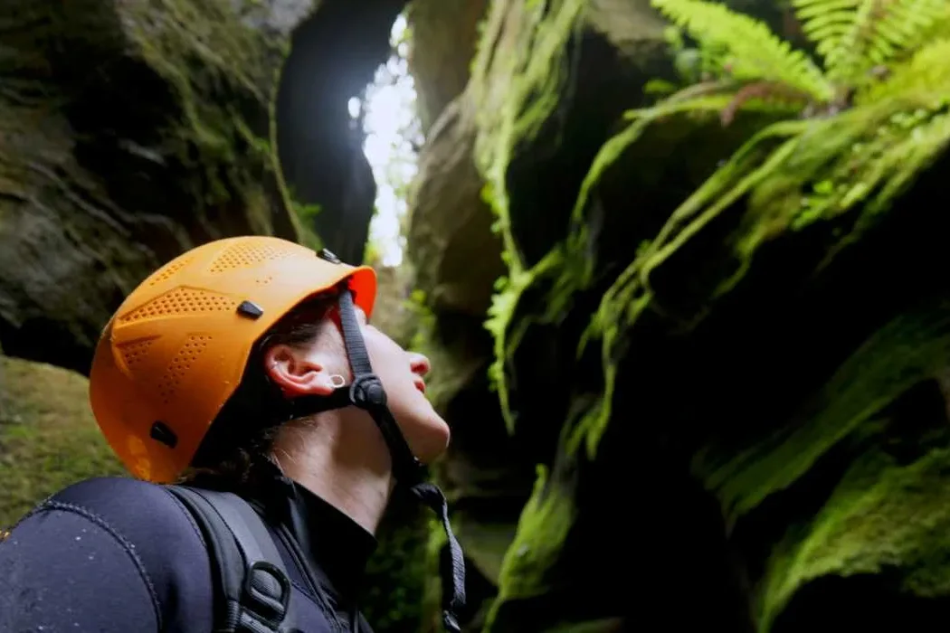 Blue Mountains Adventure Company setting