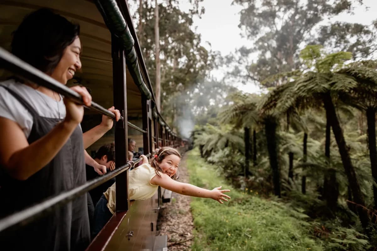 Puffing Billy Railway setting