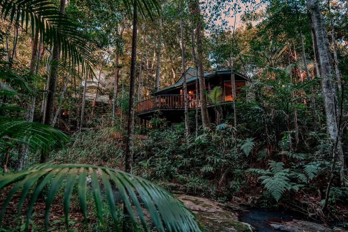 Narrows Escape Rainforest Retreat setting