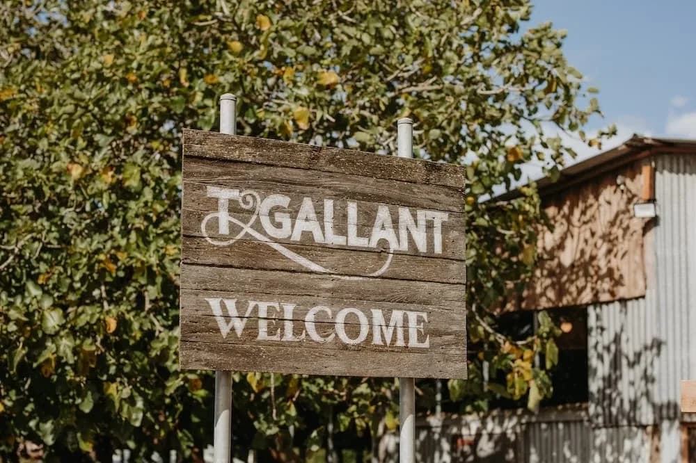 T'Gallant Vineyard setting