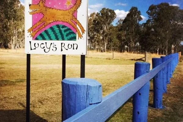 Lucy's Run Wines setting