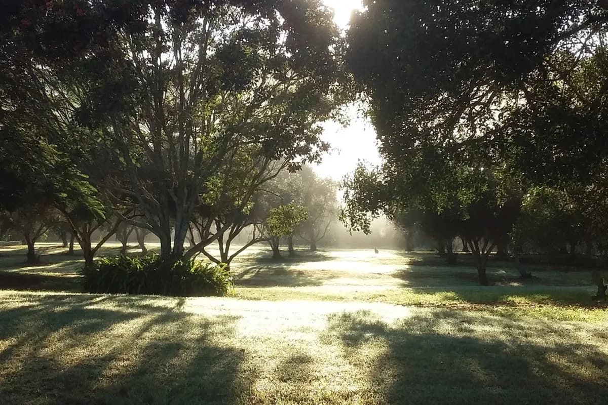 Watercress Creek Olives and Limes setting