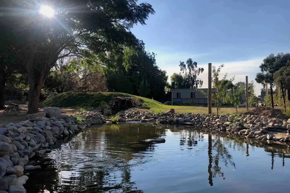 Little Farm of Calm setting