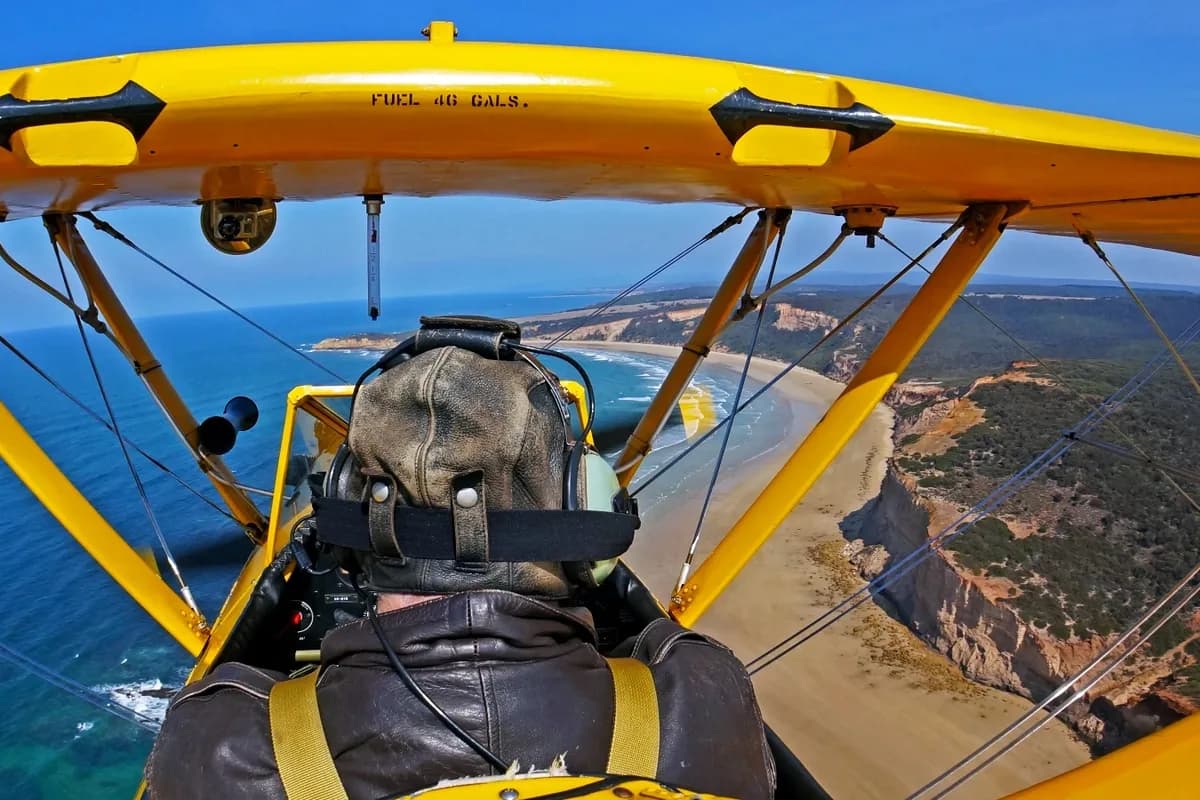 Tiger Moth World setting