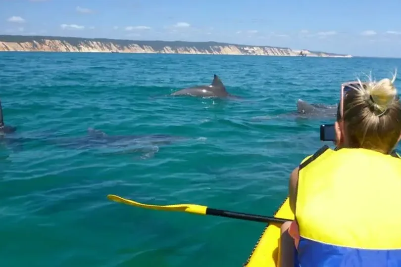 Epic Ocean Adventures Whale Watching Ocean Kayak Tour setting