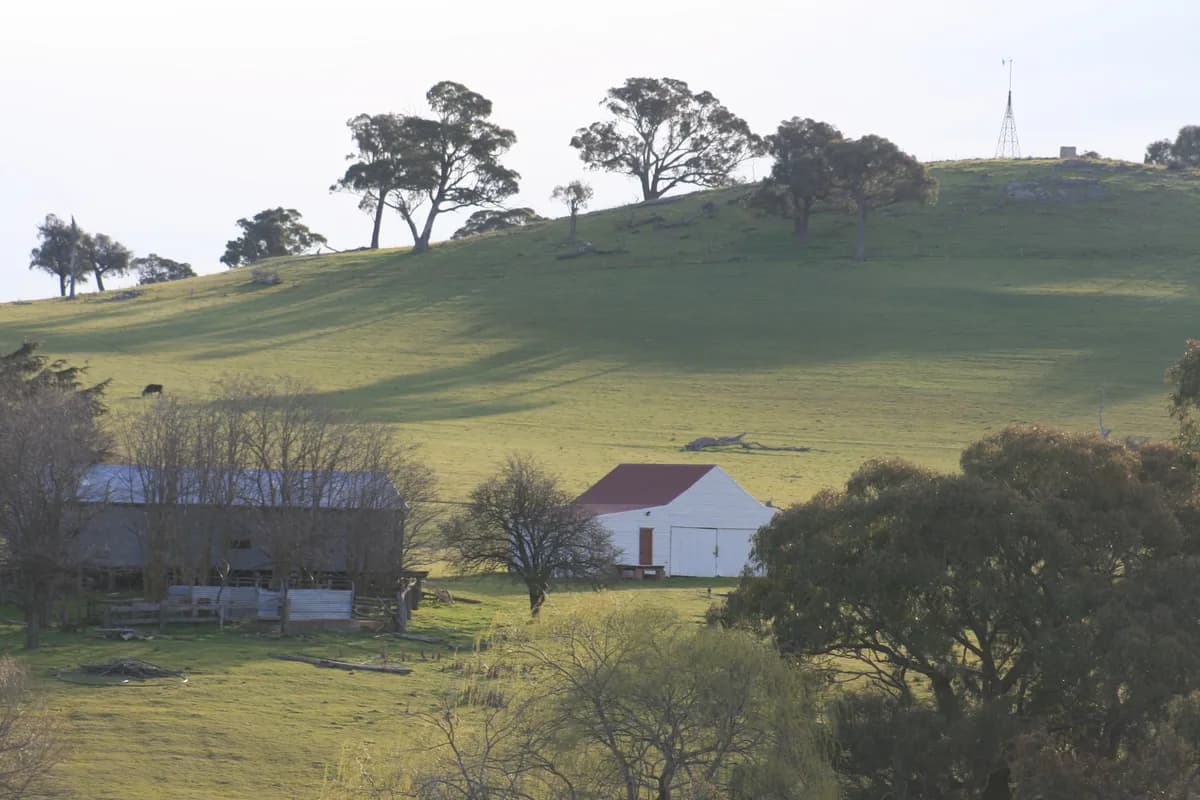 Dairy Park Farm Stay setting