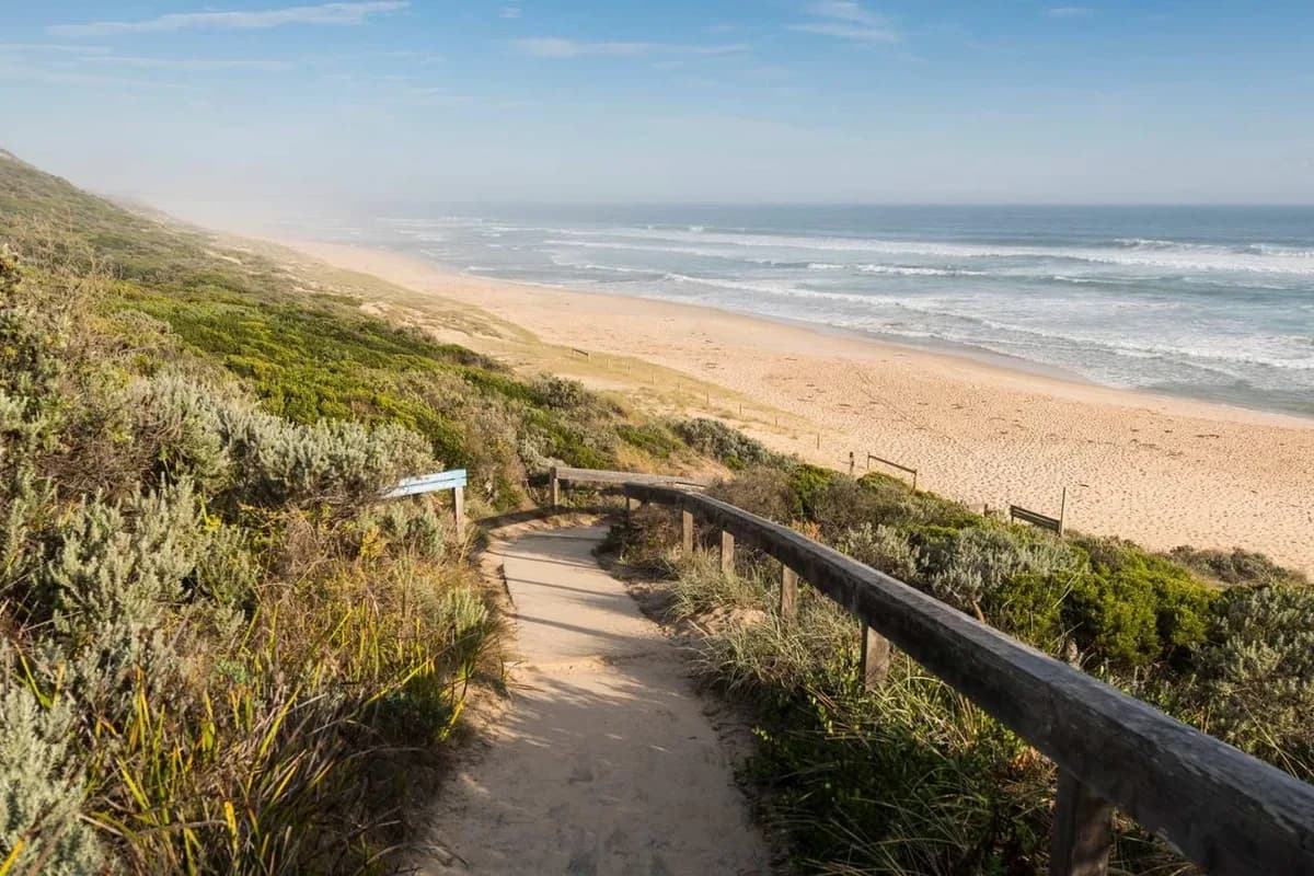 Two Bays Walking Trail setting