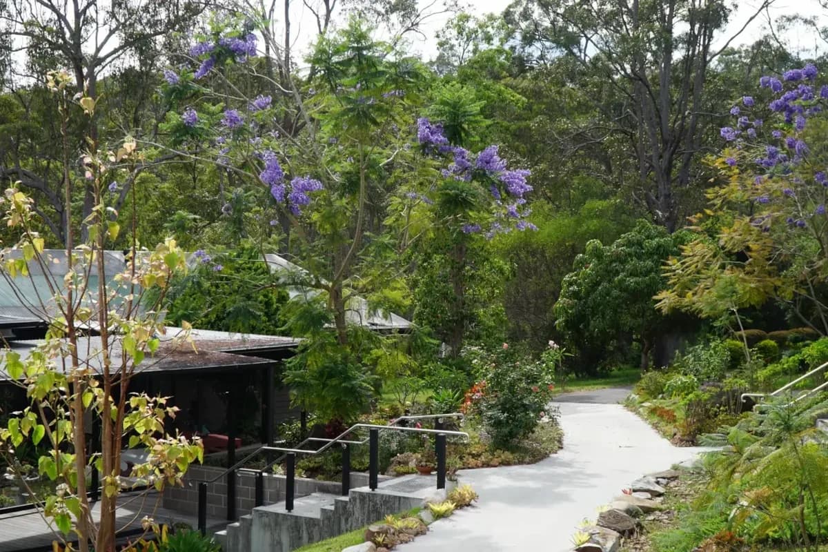 Gold Coast Dharma Realm setting