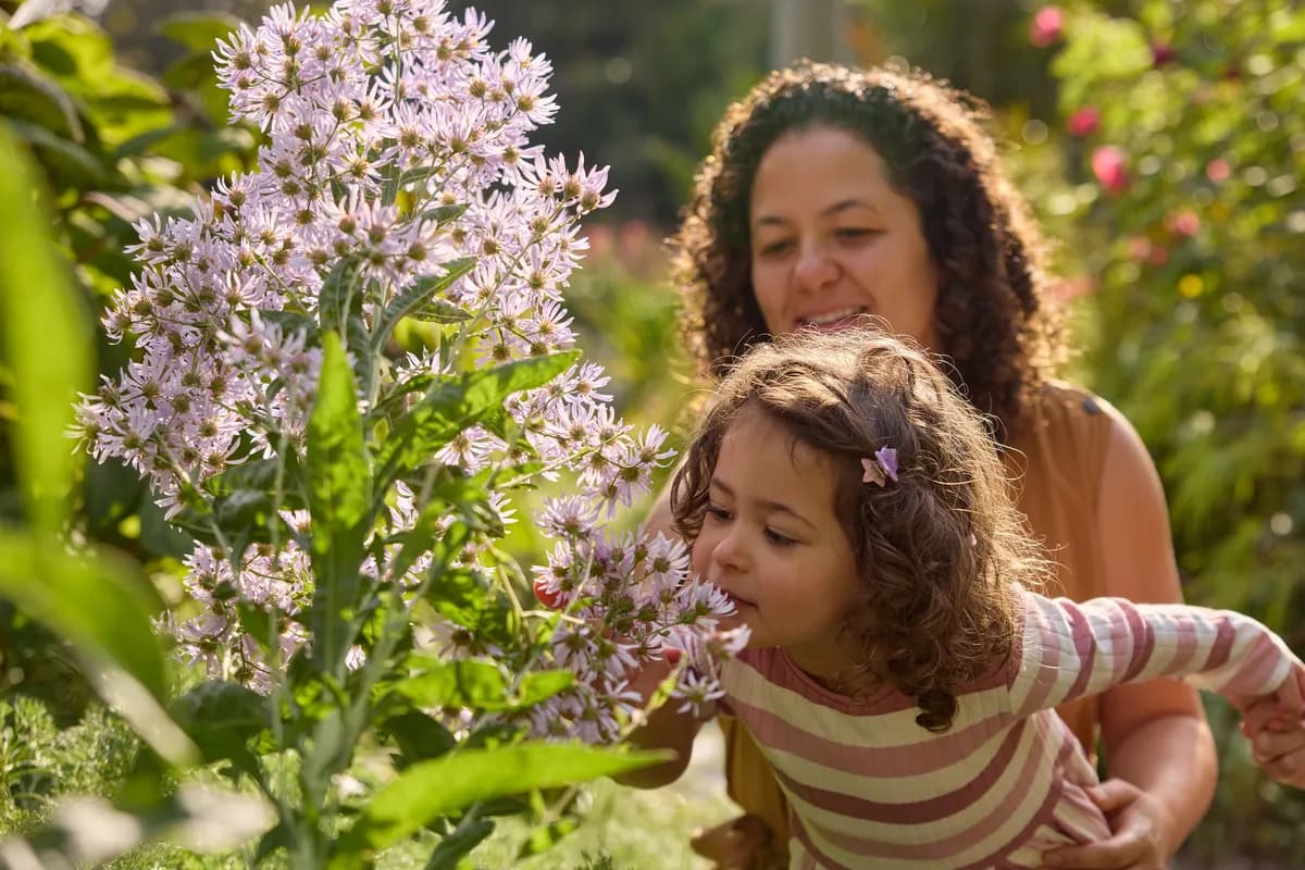 Royal Botanic Gardens Victoria – Cranbourne Gardens Forest Therapy setting