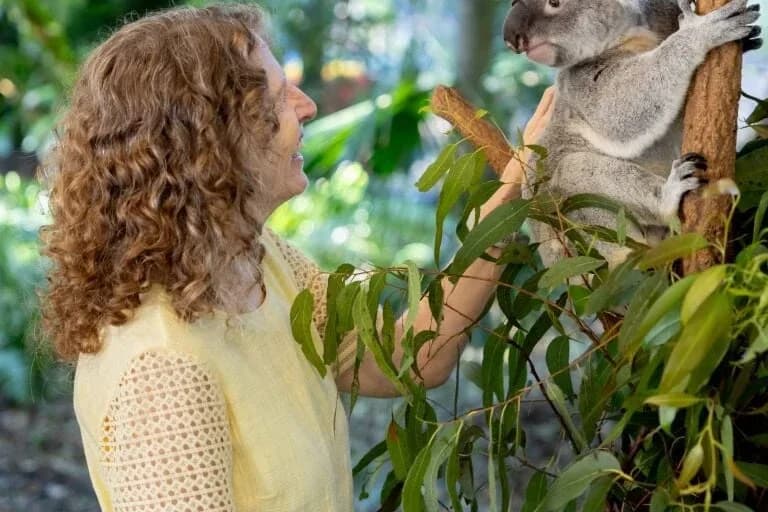 Lone Pine Koala Sanctuary Wildlife Encounter setting