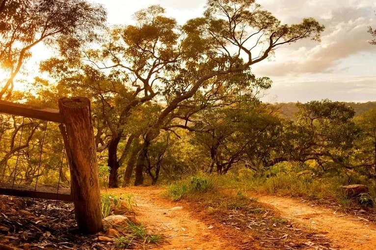Kurrajong Trails & Cottages setting